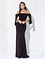 cheap Prom Dresses-Sheath / Column Elegant Dress Prom Formal Evening Sweep / Brush Train Short Sleeve Off Shoulder Jersey with Side Draping 2024