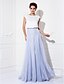 cheap Prom Dresses-A-Line Color Block Dress Holiday Cocktail Party Sweep / Brush Train Short Sleeve Jewel Neck Tulle with Buttons 2023