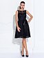 cheap Special Occasion Dresses-A-Line Fit &amp; Flare Cute Dress Holiday Homecoming Knee Length Sleeveless Illusion Neck Lace with Lace Sash / Ribbon 2023