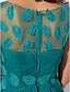 זול שמלות נשף-נדן/עמוד שמלה אלגנטית לנשף רשמי באורך רצפת ערב באורך צוואר אשליה ללא שרוולים שיפון עם אפליקציות וילונות 2023