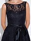 cheap Special Occasion Dresses-A-Line Fit &amp; Flare Cute Dress Holiday Homecoming Knee Length Sleeveless Illusion Neck Lace with Lace Sash / Ribbon 2023