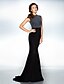 cheap Evening Dresses-Mermaid / Trumpet Celebrity Style Dress Formal Evening Sweep / Brush Train Sleeveless Jewel Neck Jersey with Pleats 2023