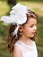cheap Headpieces-Women&#039;s / Flower Girl&#039;s Feather Headpiece-Wedding / Special Occasion Flowers