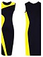 cheap Women&#039;s Dresses-Women&#039;s Work Simple Sheath Dress - Color Block Crew Neck