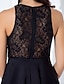 cheap Special Occasion Dresses-A-Line Fit &amp; Flare Little Black Dress Cute Homecoming Cocktail Party Prom Dress Jewel Neck Sleeveless Short / Mini Lace Jersey with Lace
