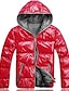 levne Pánské kabáty-Bunda Standardní Jednobarevné Ležérní Dlouhý rukáv Černá Fialová Červená