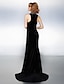 cheap Special Occasion Dresses-Sheath / Column Furcal Dress Prom Formal Evening Court Train Sleeveless High Neck Velvet with Beading Split Front 2023