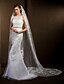 cheap Wedding Veils-One-tier Lace Applique Edge Wedding Veil Cathedral Veils with 118.11 in (300cm) Tulle