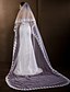 cheap Wedding Veils-Two-tier Lace Applique Edge Wedding Veil Cathedral Veils with 102.36 in (260cm) Tulle