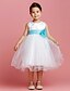 cheap Flower Girl Dresses-Ball Gown Tea Length Flower Girl Dress First Communion Cute Prom Dress Satin with Sash / Ribbon Fit 3-16 Years