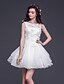 Χαμηλού Κόστους Φορέματα ειδικών περιστάσεων-Ίσια Γραμμή Illusion Seckline Κοντό / Μίνι Τούλι Φόρεμα με Δαντέλα / Λουλούδι με