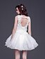 Χαμηλού Κόστους Φορέματα ειδικών περιστάσεων-Ίσια Γραμμή Illusion Seckline Κοντό / Μίνι Τούλι Φόρεμα με Δαντέλα / Λουλούδι με