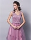 cheap Special Occasion Dresses-A-Line Open Back Dress Formal Evening Floor Length Sleeveless V Neck Tulle V Back with Appliques Flower 2024