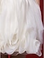 abordables Vestido de graduación-Vestido de Gala Fiesta de Cóctel Vestido Escote Corazón Sin Mangas Corto / Mini Organdí con En Cruz Fruncido Flor 2021