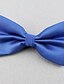 cheap Men&#039;s Ties &amp; Bow Ties-Unisex Party / Work Bow Tie - Solid Colored