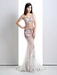 cheap Evening Dresses-Mermaid / Trumpet See Through Dress Formal Evening Court Train Sleeveless V Neck Lace with Lace Crystals 2024
