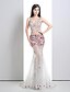 cheap Evening Dresses-Mermaid / Trumpet See Through Dress Formal Evening Court Train Sleeveless V Neck Lace with Lace Crystals 2024