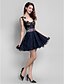 cheap Special Occasion Dresses-A-Line / Fit &amp; Flare Illusion Neck Short / Mini Tulle See Through Prom Dress with Beading / Lace by TS Couture®