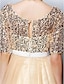 Χαμηλού Κόστους Φορέματα Χορού Αποφοίτησης-Γραμμή Α Φανταχτερό Φόρεμα Χοροεσπερίδα Επίσημο Βραδινό Μακρύ Μισό μανίκι Λαιμός σέσουλα Τούλι με Φιόγκος(οι) Χάντρες 2023