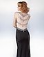 billige Aftenkjoler-Havfrue Smuk ryg Galla i kjole og hvidt Kjole Illusion Neckline Uden ærmer Børsteslæb Jerseystof med Perlearbejde 2020