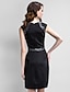 cheap Cocktail Dresses-Sheath / Column Little Black Dress Homecoming Cocktail Party Dress Queen Anne Sleeveless Knee Length Stretch Satin with Sequin