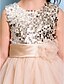 cheap Junior Bridesmaid Dresses-A-Line Floor Length Junior Bridesmaid Dress Organza Sleeveless Jewel Neck with Sash / Ribbon 2022 / Natural