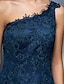 cheap Prom Dresses-A-Line Elegant Dress Holiday Cocktail Party Floor Length Sleeveless One Shoulder Tulle with Appliques 2023