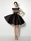 cheap Cocktail Dresses-Ball Gown Fit &amp; Flare Little Black Dress Cocktail Party Dress Bateau Neck Sleeveless Short / Mini Tulle with Lace Sash / Ribbon Pleats 2020