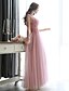 cheap Evening Dresses-A-Line Elegant Dress Formal Evening Floor Length Sleeveless Illusion Neck Tulle with Beading Appliques 2024