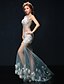 Χαμηλού Κόστους Βραδινά Φορέματα-Τρομπέτα / Γοργόνα Illusion Seckline Ουρά μέτριου μήκους Τούλι Επίσημο Βραδινό Φόρεμα με Χάντρες Λεπτομέρεια με πέρλα Λουλούδι με