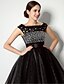 cheap Cocktail Dresses-Ball Gown Fit &amp; Flare Little Black Dress Cocktail Party Dress Bateau Neck Sleeveless Short / Mini Tulle with Lace Sash / Ribbon Pleats 2020