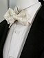 cheap Men&#039;s Ties &amp; Bow Ties-Men&#039;s Work / Casual Bow Tie - Print