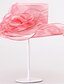 abordables Sombreros de mujer-Mujer Malla Sombrero para el sol-Fiesta Verano Rosa Wine Gris Claro / Bonito / Dorado / Azul / Marrón / Rasa