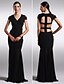 cheap Special Occasion Dresses-Sheath / Column V Neck Floor Length Chiffon Dress with Pleats by TS Couture®