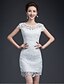 cheap Wedding Dresses-Sheath / Column Wedding Dresses Jewel Neck Short / Mini Lace Sleeveless Little White Dress with Lace 2020