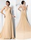 cheap Special Occasion Dresses-Ball Gown Straps Court Train Chiffon Beautiful Back Formal Evening Dress with Beading / Draping / Side Draping by TS Couture®