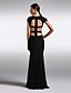cheap Special Occasion Dresses-Sheath / Column V Neck Floor Length Chiffon Dress with Pleats by TS Couture®