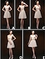 abordables Vestidos de dama de honor-mezclar&amp;amp; vestidos de partido corto / mini vestidos de gasa 5 estilos de dama de honor (3789923)