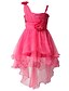 preiswerte Mode für Mädchen-Mädchen&#039; Ärmellos Blumen 3D-gedruckte Grafik Kleider Spitze Polyester Kleid Sommer Frühling Herbst