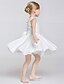 cheap Cufflinks-A-Line Knee Length Flower Girl Dress - Polyester / Lace / Tulle Sleeveless Jewel Neck with Bow(s) / Sash / Ribbon by LAN TING BRIDE®