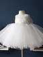 cheap Flower Girl Dresses-Ball Gown Tea Length Flower Girl Dress - Cotton / Lace / Tulle Sleeveless Jewel Neck with Lace by LAN TING Express