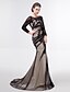 cheap Evening Dresses-Mermaid / Trumpet Color Block Holiday Cocktail Party Formal Evening Dress Illusion Neck Long Sleeve Sweep / Brush Train Tulle with Appliques Side Draping