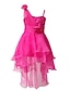 זול בגדים לילדות-בנות &#039; ללא שרוולים פרחוני גרפיקה מודפסת תלת מימדית שמלות תחרה פוליאסטר שמלה קיץ אביב סתיו