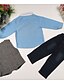 cheap Sets-Boy&#039;s All Seasons Inelastic Thin Long Sleeve Clothing Three Pieces Sets (Cotton Blends)