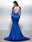 cheap Special Occasion Dresses-Mermaid / Trumpet Illusion Neck Court Train Lace Over Satin Open Back Formal Evening Dress with Beading / Appliques by TS Couture® / Illusion Sleeve