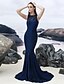 cheap Special Occasion Dresses-Mermaid / Trumpet Illusion Neck Sweep / Brush Train Lace Cocktail Party / Formal Evening Dress with Lace by TS Couture®