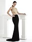 Χαμηλού Κόστους Φορέματα ειδικών περιστάσεων-Τρομπέτα / Γοργόνα Λεπτές Τιράντες Μακρύ Spandex Επίσημο Βραδινό Φόρεμα με Χάντρες / Κρυστάλλινη λεπτομέρεια με TS Couture®
