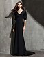 cheap Evening Dresses-Sheath / Column Celebrity Style Dress Holiday Cocktail Party Sweep / Brush Train Half Sleeve V Neck Knit with Pleats 2024