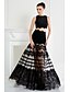 cheap Special Occasion Dresses-Two Piece A-Line Two Piece See Through Holiday Homecoming Cocktail Party Dress Jewel Neck Sleeveless Floor Length Lace Satin with Lace Beading Appliques