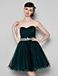 cheap Special Occasion Dresses-A-Line Plus Size Dress Holiday Knee Length Sleeveless Sweetheart Neckline Tulle with Side Draping 2022
